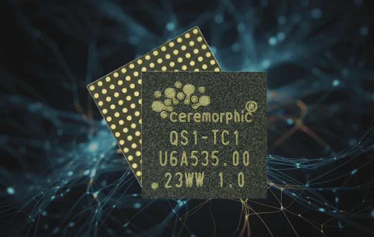 ceremorphic_chip